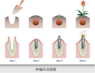 百科17.jpg
