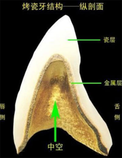 百科20.jpg